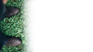 Cottage services French river